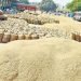 प्रदेश में अब तक हुई 41 लाख 73 हजार मीट्रिक टन धान की खरीद