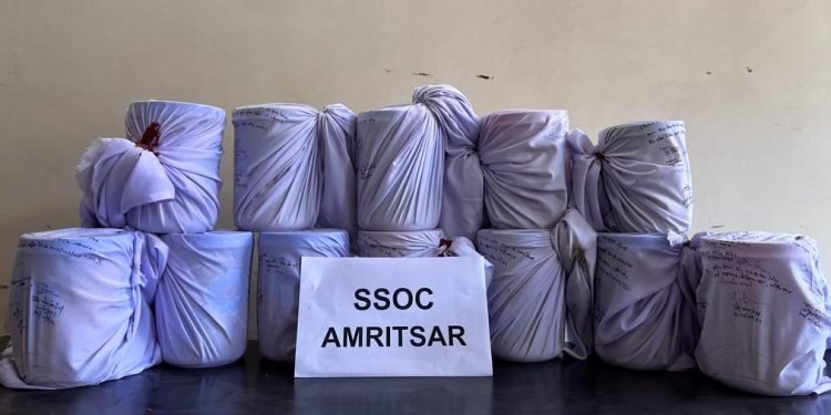 पंजाब पुलिस द्वारा अमरीका आधारित सरवन सिंह द्वारा चलाए जा रहे नशा तस्करी रैकेट का पर्दाफाश; 12 किलो हेरोइन समेत एक काबू