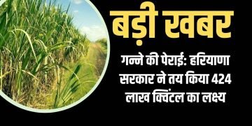 सरकार ने पिराई सत्र की शुरूआत में ही गन्ने का रेट बढाया- डा. बनवारी लाल