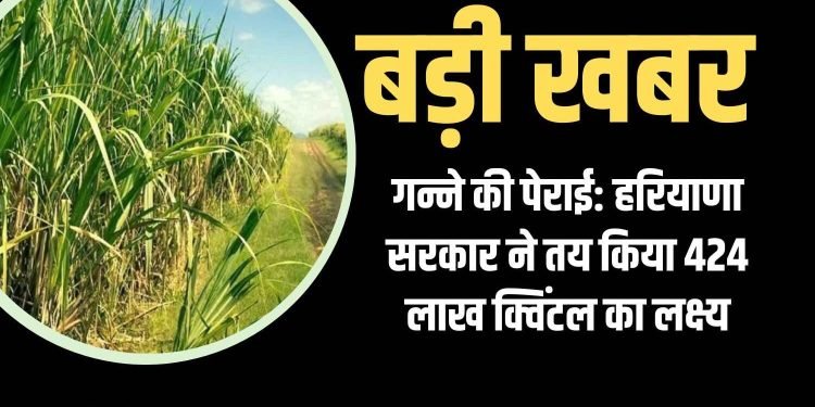 सरकार ने पिराई सत्र की शुरूआत में ही गन्ने का रेट बढाया- डा. बनवारी लाल