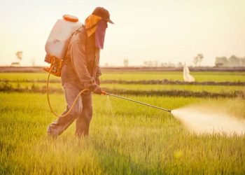 रासायनिक उर्वकों का अंधाधुंध प्रयोग खेती के लिए नुकसानदायक: डॉ. नरहरि बांगड़
