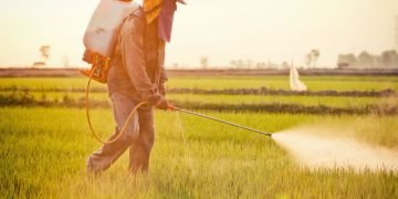 रासायनिक उर्वकों का अंधाधुंध प्रयोग खेती के लिए नुकसानदायक: डॉ. नरहरि बांगड़