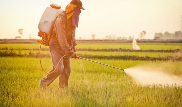 रासायनिक उर्वकों का अंधाधुंध प्रयोग खेती के लिए नुकसानदायक: डॉ. नरहरि बांगड़