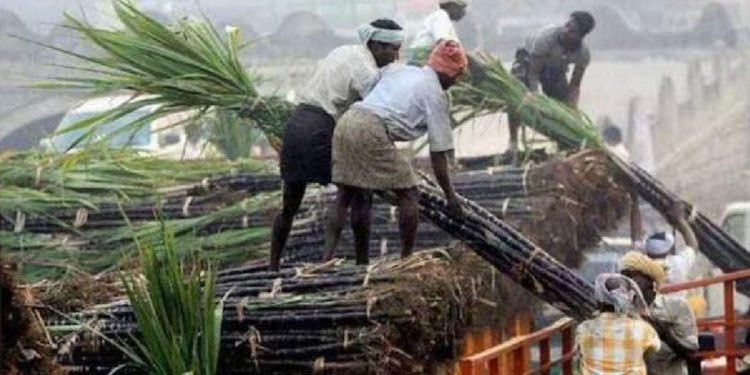 सहकारिता मंत्री ने की करनाल शुगर मिल के 48वें पिराई सत्र की शुरुआत, बोले- किसान का एक-एक गन्ना खरीदेगी सरकार