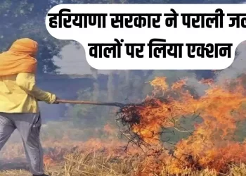 हरियाणा सरकार  वायु गुणवत्ता बनाए रखने के लिए सतर्क