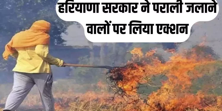हरियाणा सरकार वायु गुणवत्ता बनाए रखने के लिए सतर्क