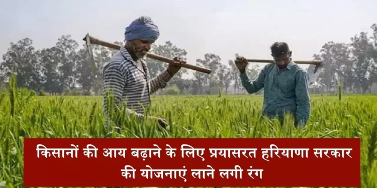किसानों की आय बढ़ाने के लिए प्रयासरत हरियाणा सरकार की योजनाएं लाने लगी रंग