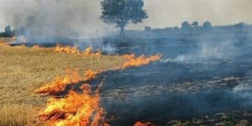 Local Factors Responsible For Delhi Pollution