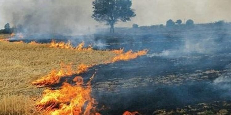 Local Factors Responsible For Delhi Pollution