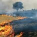 Local Factors Responsible For Delhi Pollution
