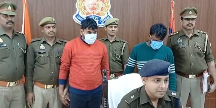 Sex Determination Gang Exposed