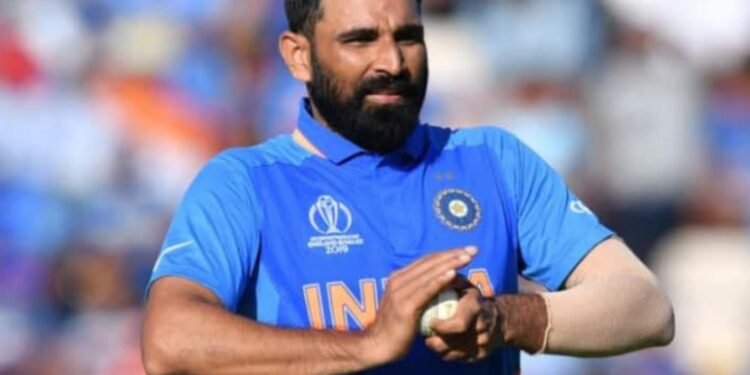 Cricket World Cup Finale