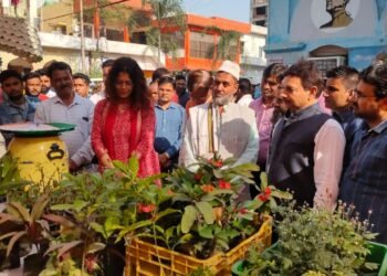 Organic Market Set up Municipal Corporation