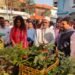 Organic Market Set up Municipal Corporation