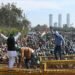 Farmers Protest