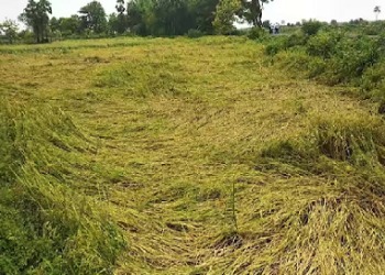 सरकार द्वारा विभिन्न क्षेत्रों से प्राप्त अभ्यावेदनों पर किया विचार,  पोर्टल से क्षति के पंजीकरण पर क्षेत्र की सीमा (5 एकड़) दी गई हटा