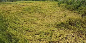 सरकार द्वारा विभिन्न क्षेत्रों से प्राप्त अभ्यावेदनों पर किया विचार,  पोर्टल से क्षति के पंजीकरण पर क्षेत्र की सीमा (5 एकड़) दी गई हटा