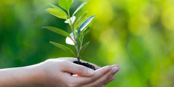 पर्यावरण के संरक्षण के लिए युवा कर सकते हैं बेहतर काम