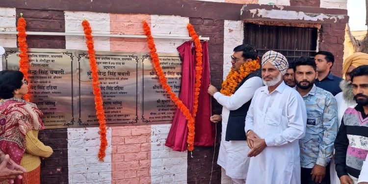 सरकारी स्कूलों में विकसित किया जा रहा सोलर सिस्टम – देवेन्द्र सिंह बबली