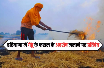 गेहूं के फसल के अवशेषों को जलाने पर लगाया प्रतिबंध