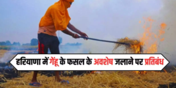 गेहूं के फसल के अवशेषों को जलाने पर लगाया प्रतिबंध