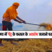 गेहूं के फसल के अवशेषों को जलाने पर लगाया प्रतिबंध