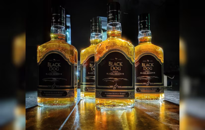 चुनावों के दौरान अवैध शराब व मादक पदार्थों पर रखी जा रही कड़ी नजर