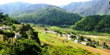 जन भावनाओं के अनुरूप भू -कानून में होगा संशोधन - वन मंत्री