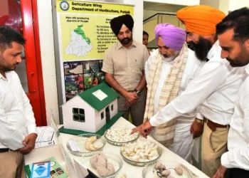 पंजाब अपने ब्रांड के तहत बाजार में उतारेगा रेशम उत्पाद