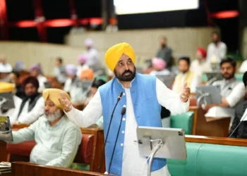 बेअदबी मामले में रिपोर्ट जल्द - सीएम मान