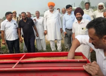 किसान पर्यावरण अनुकूल खेती पर दें जोर - राणा