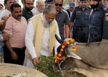 गौमाता का पालन-पोषण करने से बढ़ेगा राष्ट्र का गौरव - विज