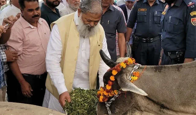 गौमाता का पालन-पोषण करने से बढ़ेगा राष्ट्र का गौरव - विज