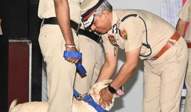 डॉग स्क्वायड में शामिल किए गए 27 प्रशिक्षित डॉग