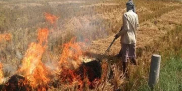 धान फसल अवशेष न जलाएं किसान