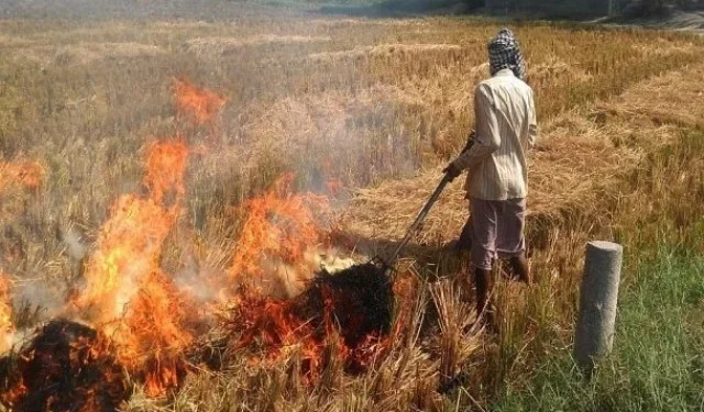 धान फसल अवशेष न जलाएं किसान