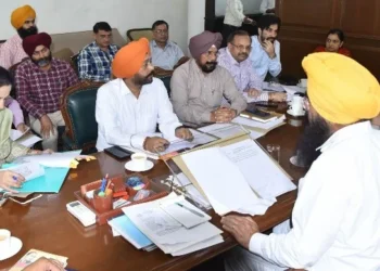 पंजाब में 25 नवंबर से शुरू होगी गन्ने की पीड़ाई