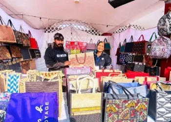 प्लास्टिक फ्री हरियाणा कैंपेन के तहत महिलाएं बना रहीं जुट-बेग