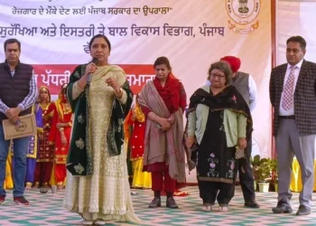 महिलाएं हर क्षेत्र में सफलता हासिल कर सकती हैं - मंत्री