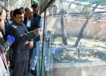 अरावली क्षेत्र में बनेगी विश्व की सबसे बड़ी जंगल सफारी - मंत्री