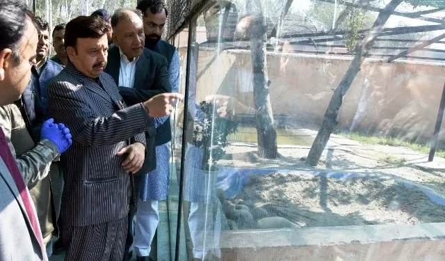 अरावली क्षेत्र में बनेगी विश्व की सबसे बड़ी जंगल सफारी - मंत्री