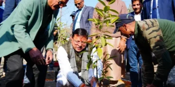 विजेता खिलाड़ियों के नाम पर किया जाएगा पौधरोपण - सीएम