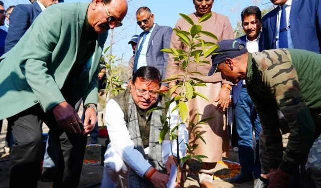 विजेता खिलाड़ियों के नाम पर किया जाएगा पौधरोपण - सीएम