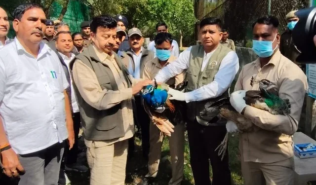 प्रकृति के साथ संतुलन के लिए पक्षियों का संरक्षण जरूरी - मंत्री