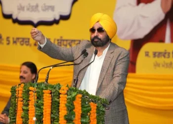 युवाओं को 50 हजार और सरकारी नौकरियां दी जाएंगी - मान