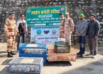 किसानों और आईटीबीपी का साझा प्रयास: सीमा सुरक्षा और ग्रामीण विकास दोनों मजबूत