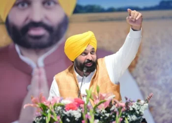 'आप' सरकार किसानों के साथ खड़ी है - मान