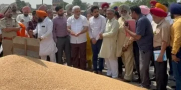 राज्य में बारदाने, परिवहन और लिफ्टिंग में कोई मुश्किल नहीं - मंत्री