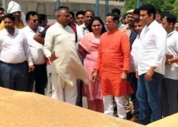 राज्यमंत्री ने पलवल और होडल अनाज मंडी का दौरा किया