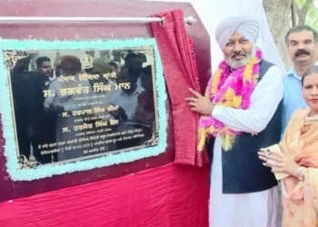 शिक्षा में अग्रणी राज्य बनने के लिए प्रयास जारी - चीमा